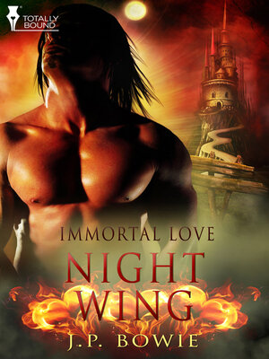 cover image of Night Wing